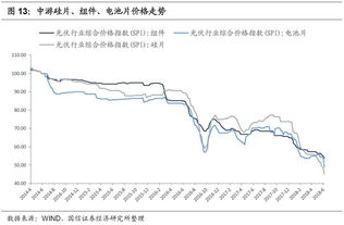 上海电气转债什么意思，我有20股现在133，100元入手，该怎么操作？