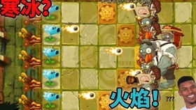 大神自制pvzshuttle版下载攻略