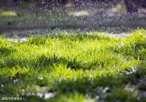 山雨古诗宋翁卷怎么读