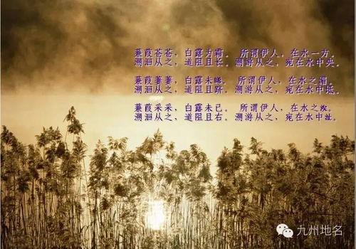 地名探轶 蒹葭苍苍,白露为霜 从 诗经 中探寻台州 葭沚 地名之源 