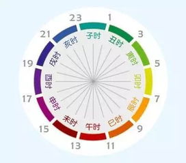 TO黑大 十二个时辰里,有24个小时在爱你