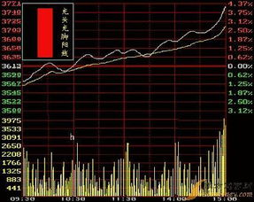 股票k线图的实图详解