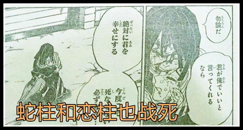 鬼灭之刃 漫画200话 岩柱和蛇柱战死,炭治郎去世,无惨被灭