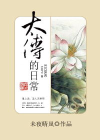 未夜晴岚全部小说 未夜晴岚作品集 未夜晴岚新书 百田小说 