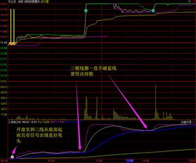 股票今日开盘到现在一直不动、说明什么问题？