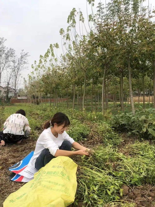 汝州技师学院学校地址