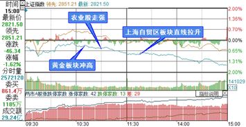 黄金股属于什么板块