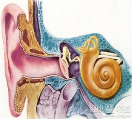 中耳炎的症状及治疗