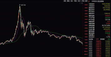 2009年5月份，股票回到2600+点.今后会是一次大幅度的向下调整还是勇往直前?！