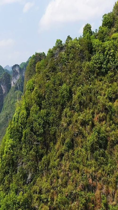 大自然真是太奇妙了,广西阴阳山,大自然的鬼斧神工 ,这地方一定有风水宝地 