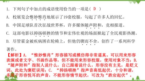 解释词语潜水,潜水在网络语言中是什么意思？