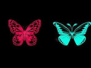 漂亮的蝴蝶花纹模板免费下载 psd格式 2362像素 编号15635630 千图网 