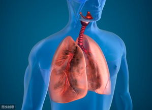 肺癌并非不能治愈,这6种治疗方法用好了,晚期肺癌也能多活几年