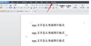 wps怎么把文字变成图片格式 