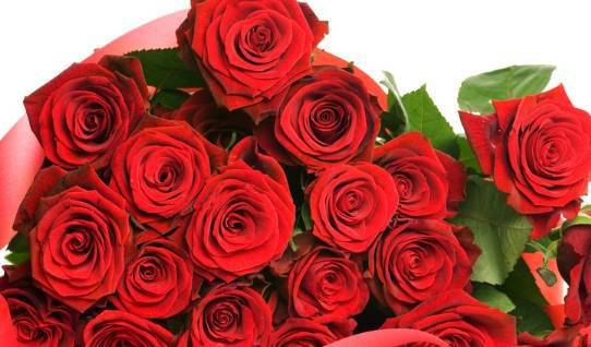 4朵玫瑰花,哪一朵最好看 测出你是个富婆命还是个平凡命