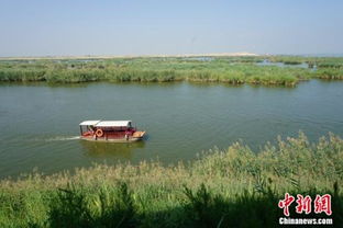 走进宁夏沙湖 保护湿地生态 打造塞上江南新名片 