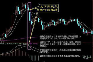 散户教头 殷保华锒铛入狱,其炒股秘诀庄家都怕