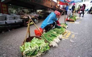 喜欢去买农村老人 摆摊菜 的人越来越少了,这是为什么呢