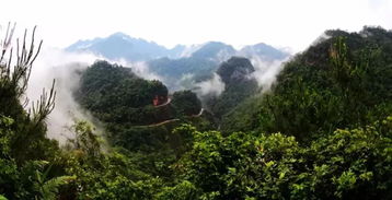 好消息 桂平这些地方荣获广西区殊荣 有你们村吗