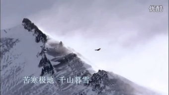 千山暮雪 – 