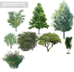 树子 树 园林配景 树木图片素材 PSD分层格式 下载 其他大全 CAD图库 