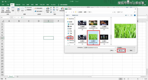 Excel技巧 Excel表格怎么插入图片