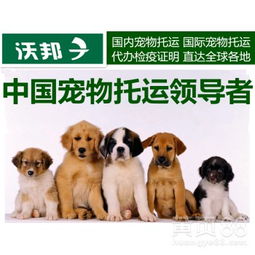 【上海宠物托运价格多少钱宠物物流价格表】-上海黄页88网