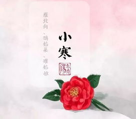 小寒节气唯美文案