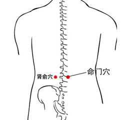 养生有讲究 女要 三热 ,男要 三冷 ,身体健康,少生病 男人 