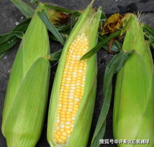 玉米可以怎么保存多久-图2