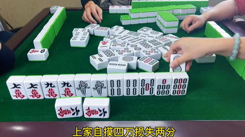 小羊都放走了,那就浪神来承受 麻将 