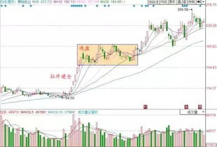 股票里说的大笨象公司，夕阳产业、政策打压产业、传统产业、冷门、过剩行业股票分别是指什么?