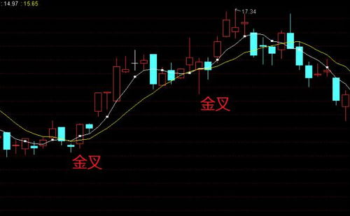 自编指标公式文字怎样分二行显示