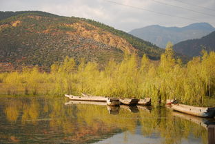 要么读书 要么去丽江旅行,灵魂和身体,必须有一个在路上