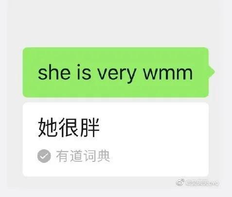 冷知识它出现了 当你在对话框输入 she he is so.....你的真实属性就会忽然曝光