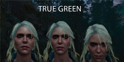 巫师3狂猎更真实的希里绿色眼睛MOD下载 