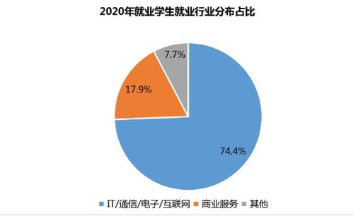 近年IT行业选什么专业比较好