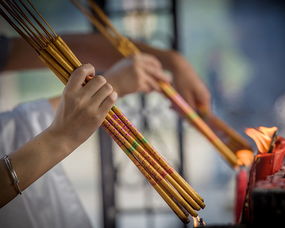 游栖霞寺