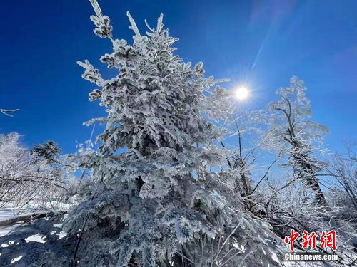 吉林北大湖初春迎来 五星 高山雾凇