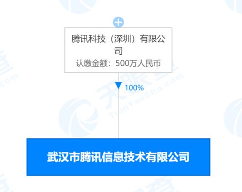 新成立的公司注册资本500万，实收资本为零，申报地税时印花税资金账簿怎么填？