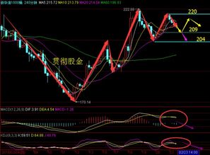 fil后期走势,fil价格今日行情k线图