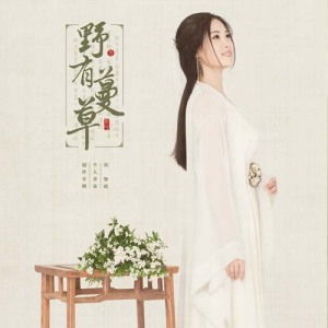 青玉案在线试听 刘智晗 高音质歌曲 九酷音乐 