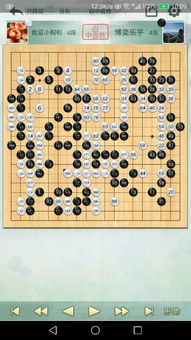 大家看看我的围棋实力有几段 两盘棋我都赢了 