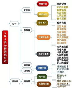 红木百科 大果紫檀 缅甸花梨