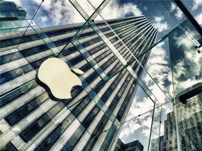 苹果产业链概念股有哪些上市公司