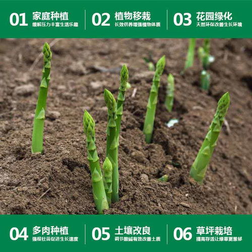 花土营养土大包批发种花种菜土多肉土绿萝花卉肥料盆栽养花种植土