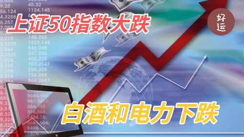 上证50指数大跌,白酒和电力下跌,原因是什么 