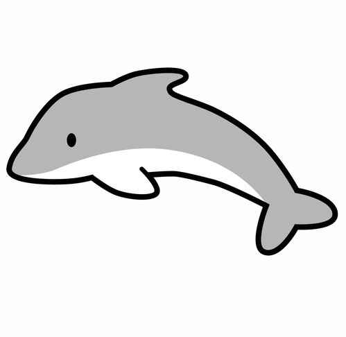 海豚卡通图片 搜狗图片搜索