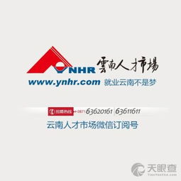 人才市场档案服务中心(云南省人才网报名入口)