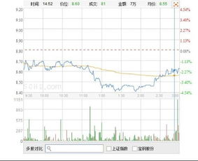 股票分析 5000字左右